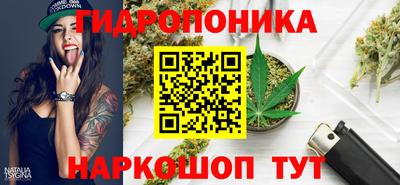 PSILOCYBIN Канаш