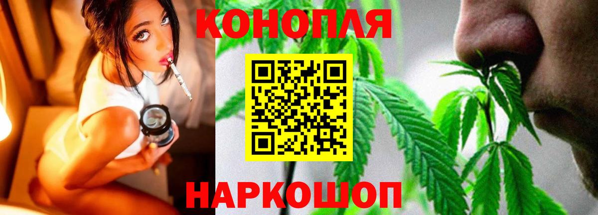 Каннабис OG Kush Луховицы